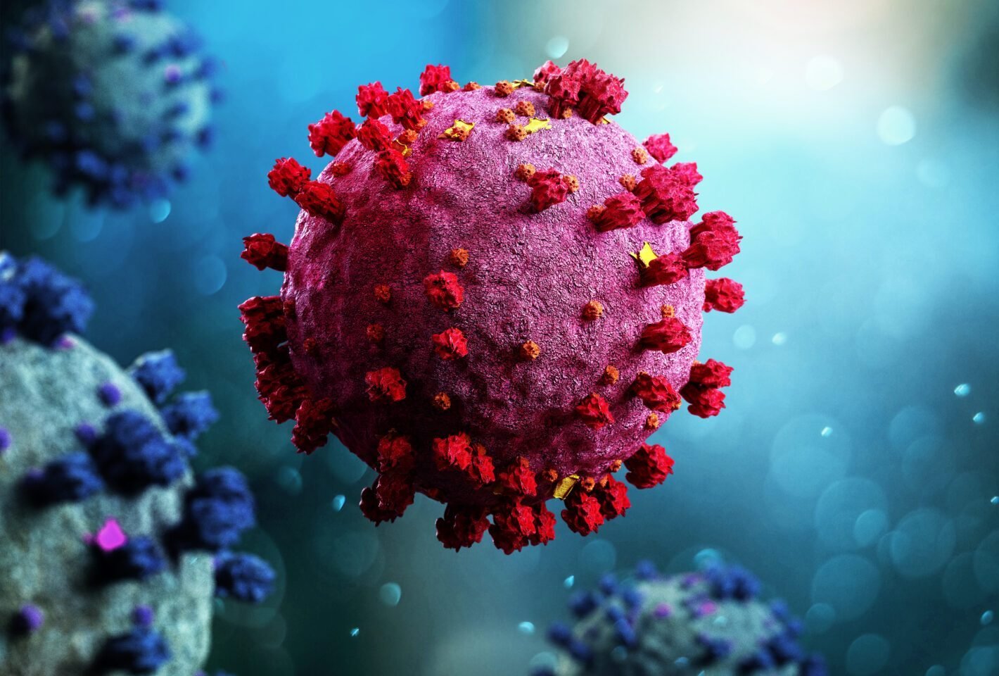 Can Hantavirus Spread Like COVID-19? Experts Explain