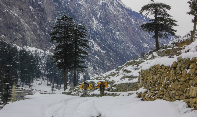 Crackdown Launched on Illegal Construction in Galiyat
