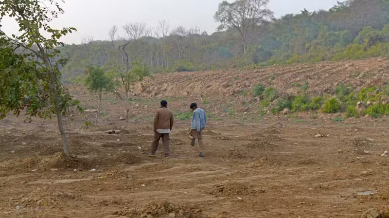 Islamabad Was a Forest. Now It’s an Environmental Warning