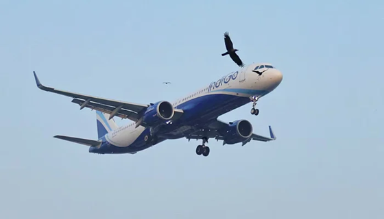 Geopolitics Sends Indian Airlines on Costly Long Routes
