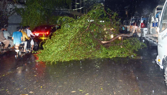 Karachi Storm Death Toll Rises to 19; More Rain Forecast