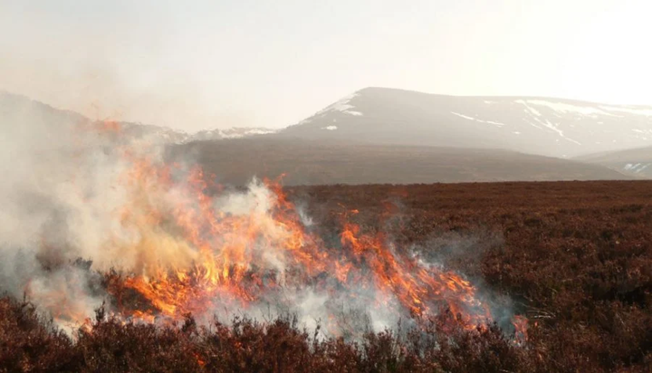 Moorland Fires Put 2.3 Million at Risk, Study Warns