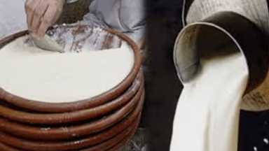 New Prices of Milk, Yogurt Announced in Rawalpindi