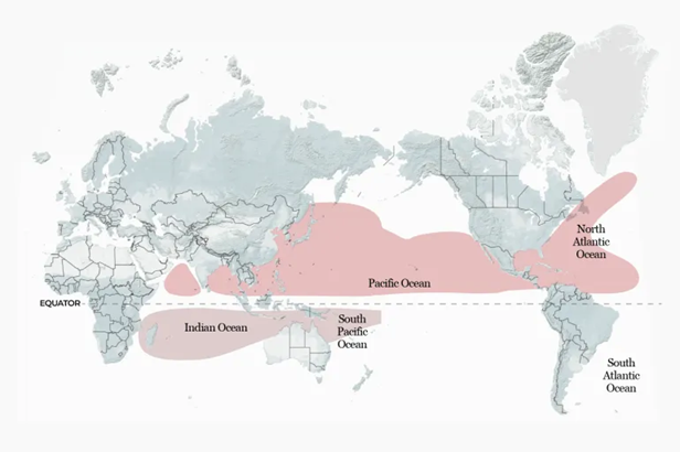 How Dangerous Can El Nino Become This Year?